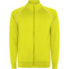 AMARILLO FLUOR