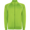 VERDE FLUOR