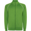 VERDE HELECHO