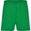 VERDE HELECHO