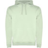 VERDE MIST