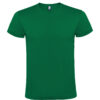 VERDE KELLY