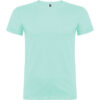 VERDE MENTA