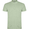 VERDE MIST