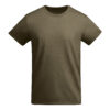 VERDE MILITAR