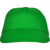 VERDE HELECHO