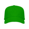 VERDE HELECHO